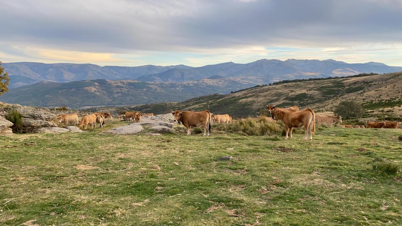 El Pajar De Tio Mariano Βίλα Solana de Avila Εξωτερικό φωτογραφία